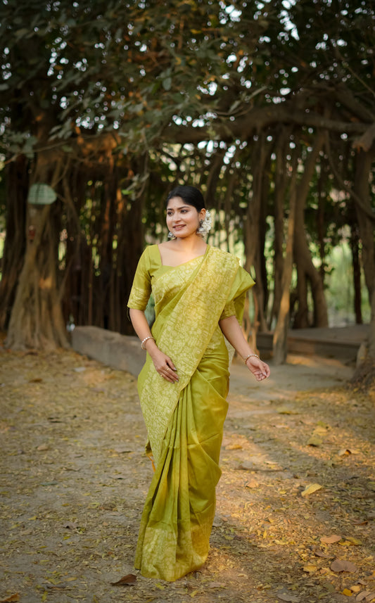 Green saree with Gala Border pattern outdoors