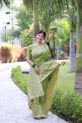 Woman wearing light pista traditional weaving saree posing gracefully in an outdoor garden setting