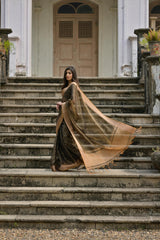 Woman wearing an olive green silk saree with a gold border and subtle woven motifs, accessorized with gold bangles, standing on the stone steps of a heritage mansion surrounded by potted plants and lush greenery