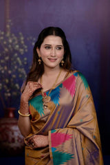 Woman in a colorful saree with a purple background