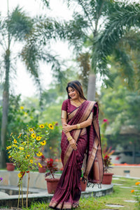Deep Purple Zari Work Soft Banarasi Silk Saree