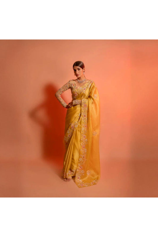 Titan Organza Saree