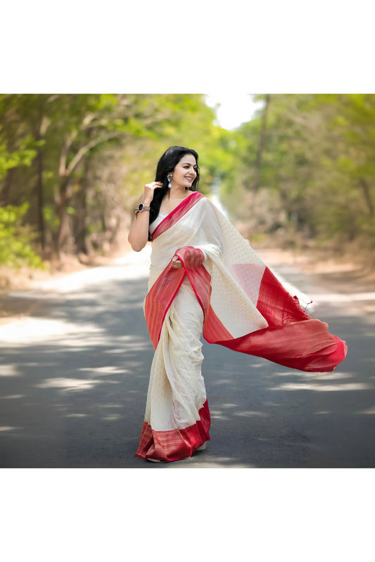 Soft Khadi Georgette Saree