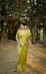 Green saree with Gala Border pattern outdoors