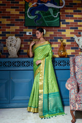 Green saree with zari work and blue gold border indoors