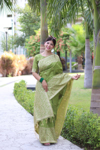 Light Pista Traditional Weaving Banglori Raw Silk Saree