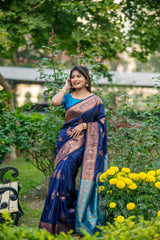 Woman in navy blue saree with zari work sitting outdoors