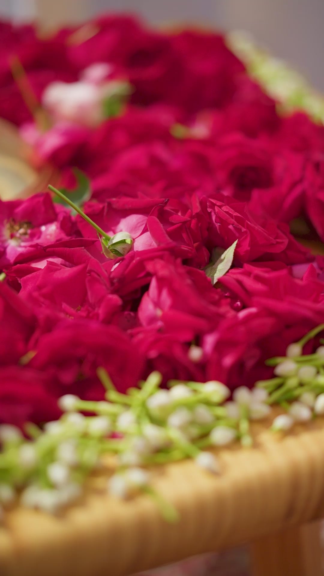 Black Sequins Embroidery Viscose Velvet Suit