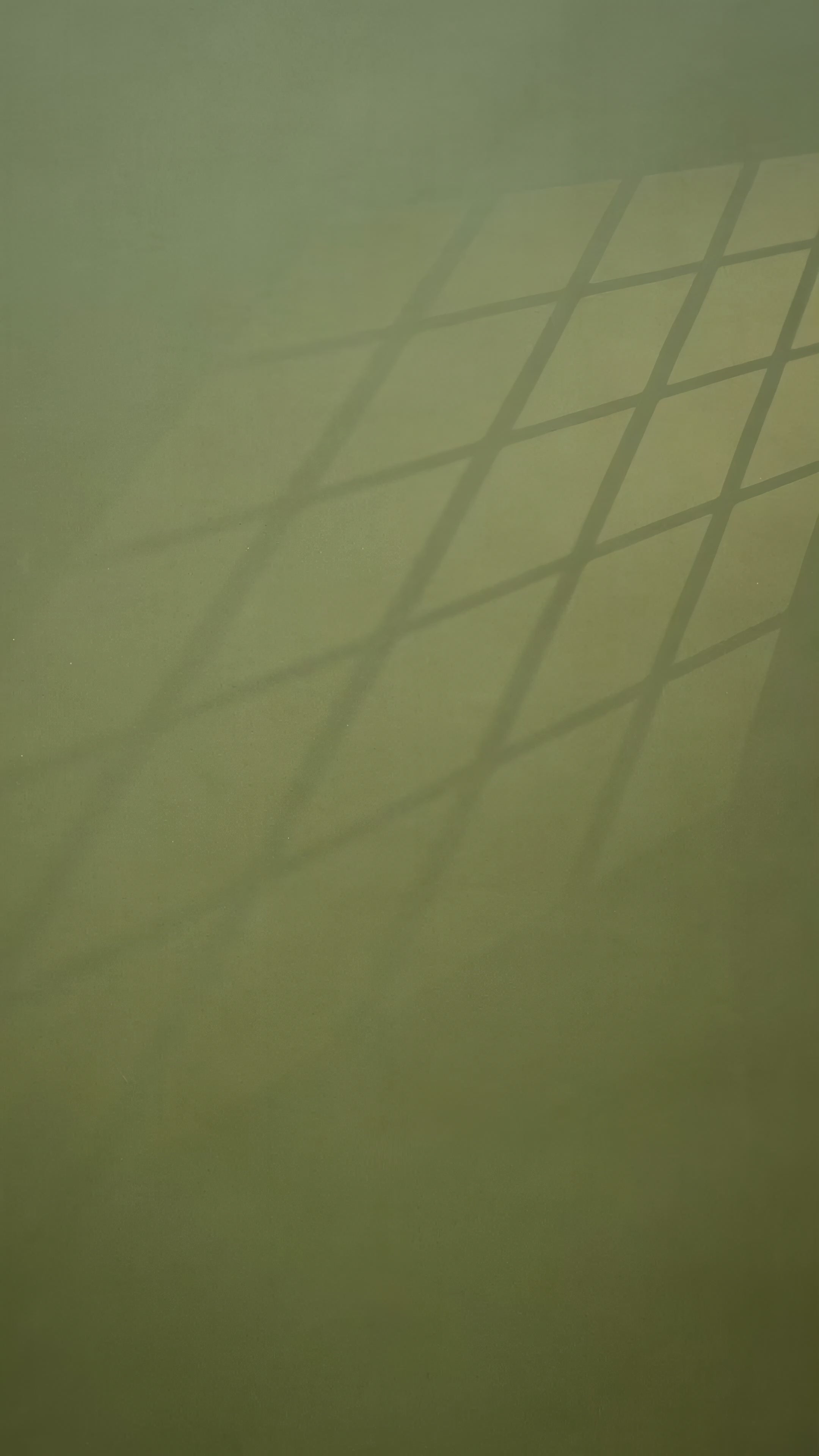 Beige & Blue Kalamkari Peacock Weaving Soft Muga Cotton Saree