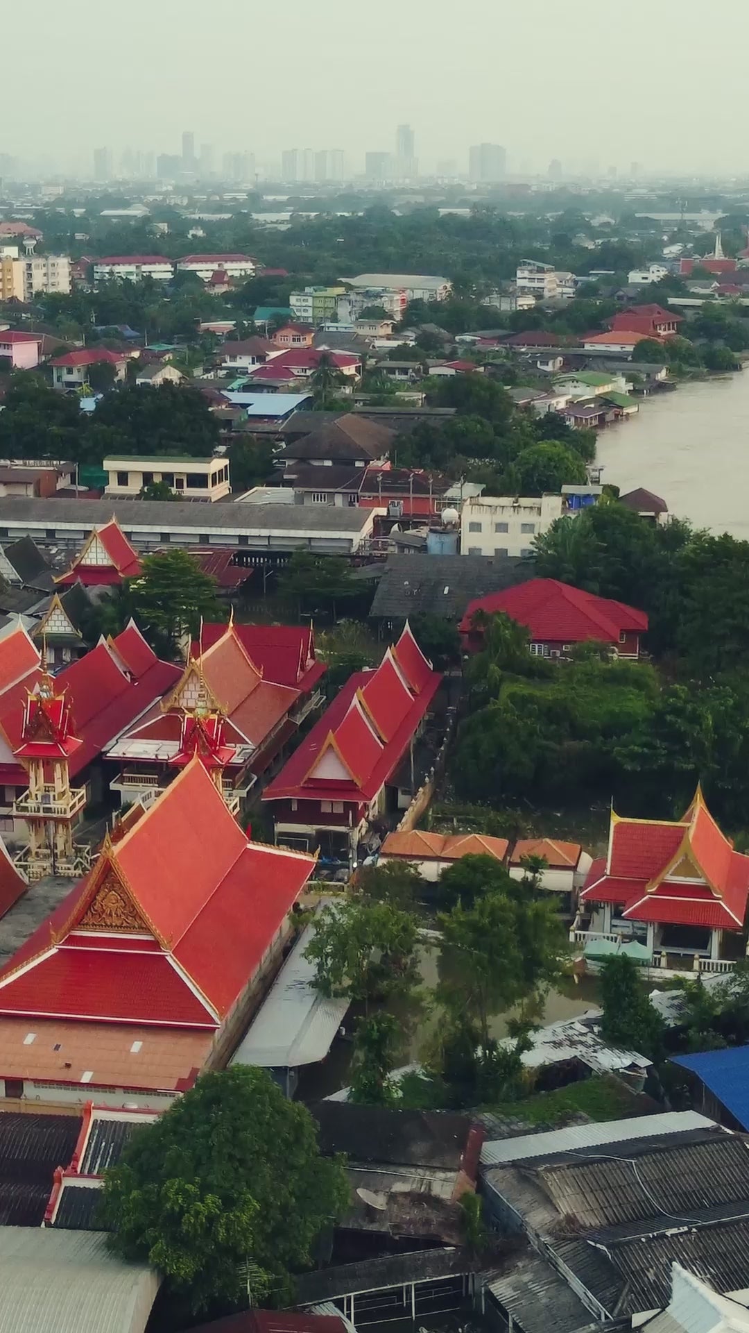 Beige Banarasi Silk Zari Weaving Saree