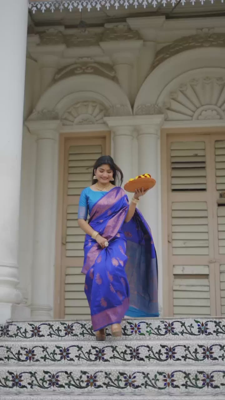 Woman in blue saree with zari work in temple