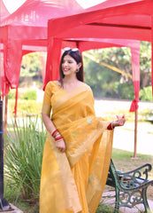 Woman wearing a yellow organza saree with delicate floral embroidery and a matching blouse, posing outdoors near a black lamp post under red canopies, with garden benches and vibrant greenery in the background.