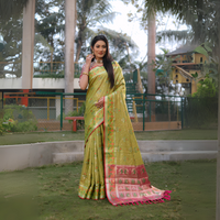 Pista Green Ikkat Patola Weaving Organza Silk Saree